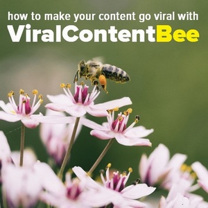 How To Make Your Blogs Go Viral With ViralContentBee  