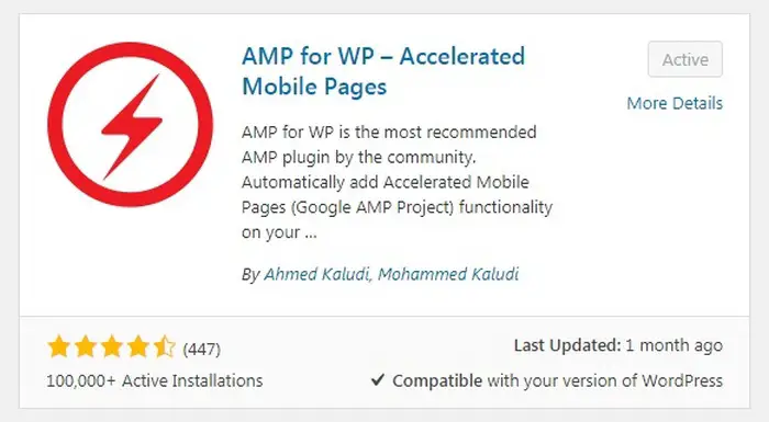 Wordpress Mistakes - AMP