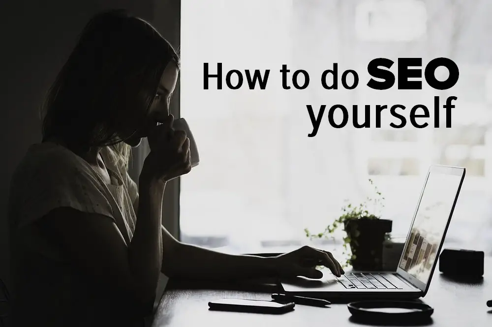 how to do seo yourself article header graphic