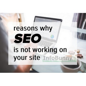 Reasons why SEO is not working on your site