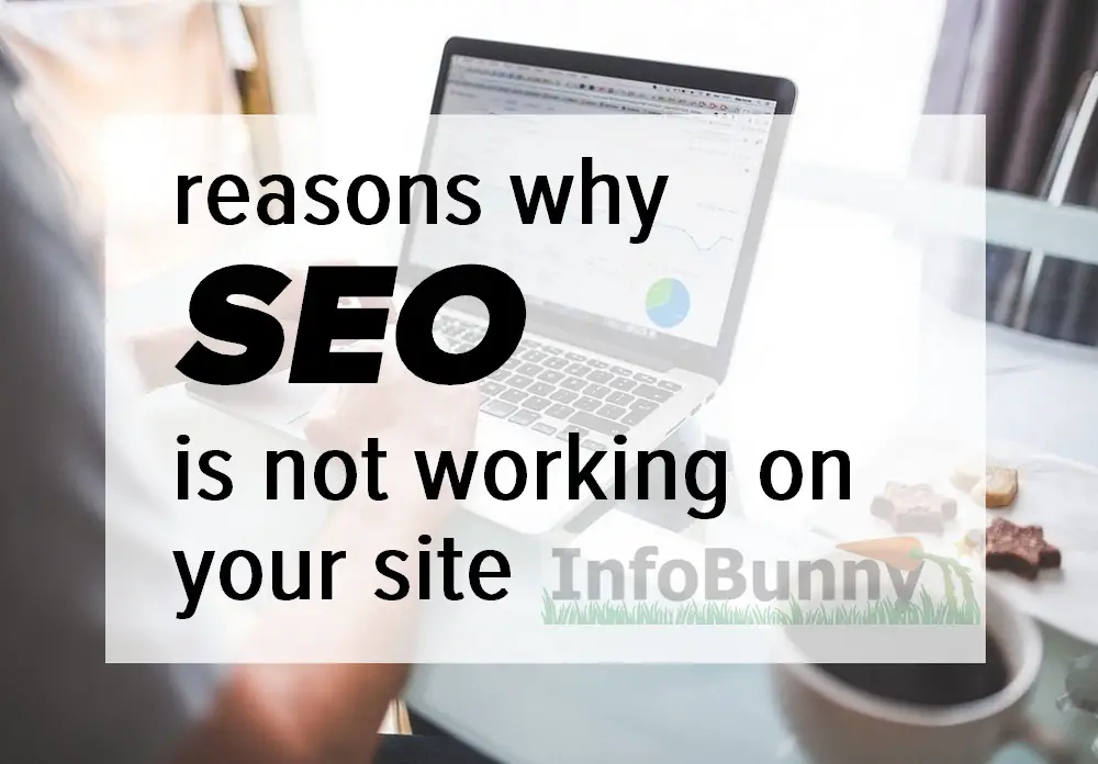 reasons why SEO is not working on your site