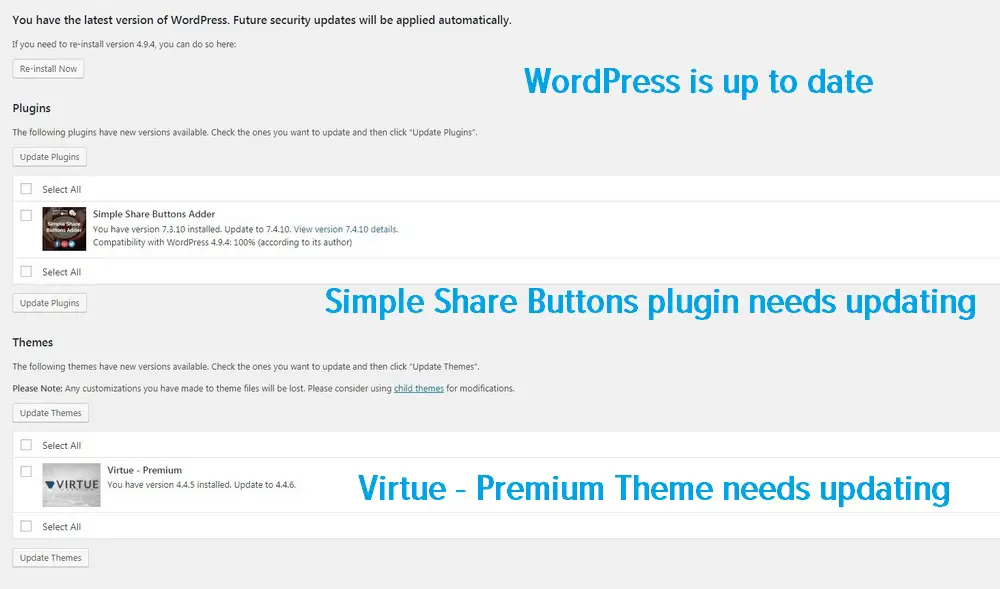 Plugin and theme update options