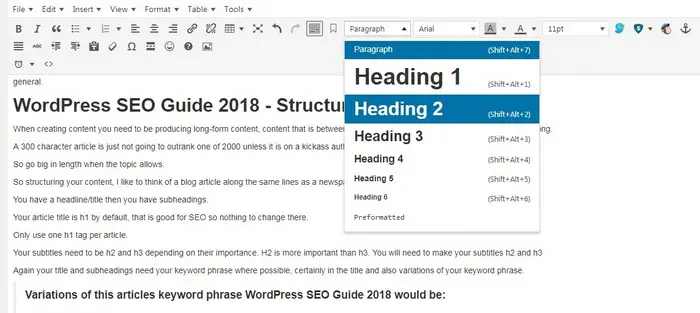 WordPress SEO Guide 2021 - TinyMCE editor