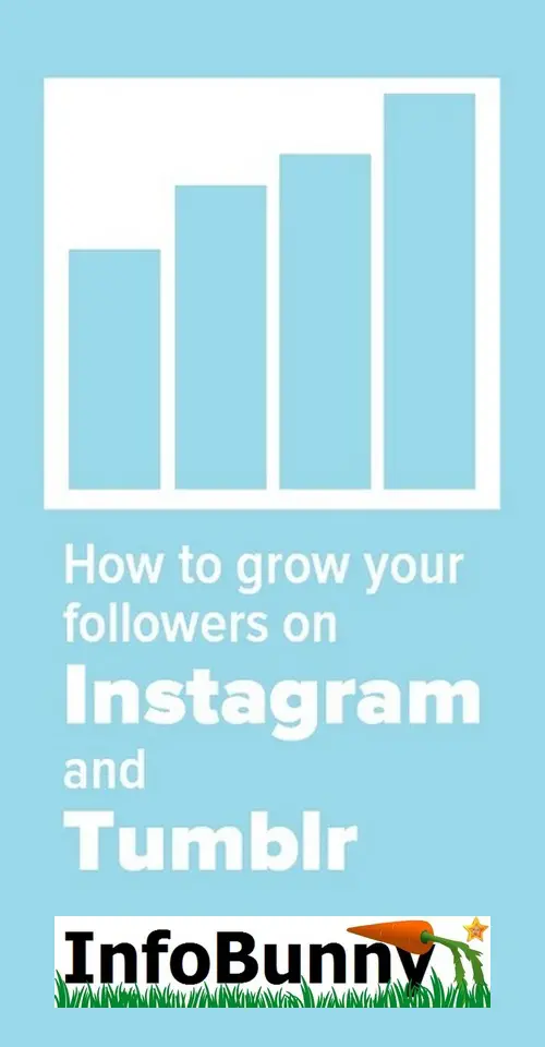 How to Grow Your Followers on Instagram and Tumblr