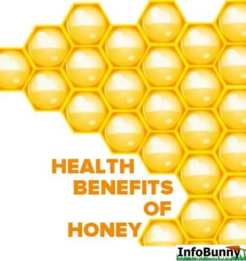 Honeycomb graphic for -The Health Benefits Of Honey