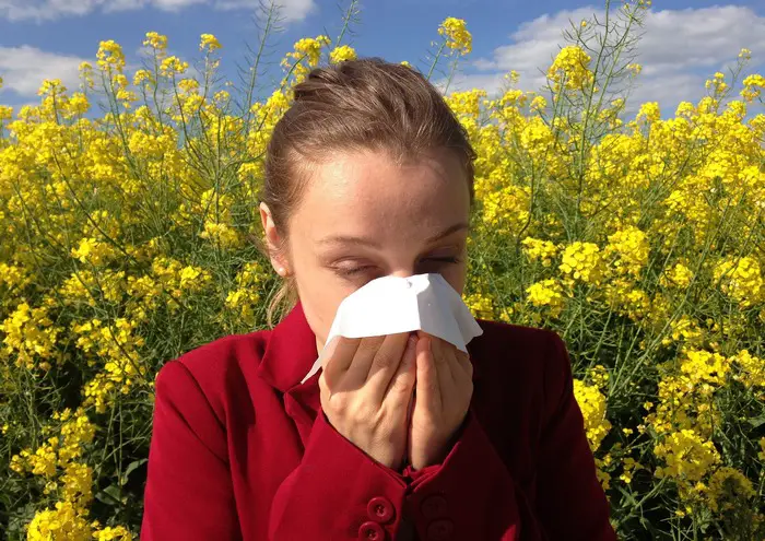 Image showing a hayfever sufferer sneezing into a tissue - Honey, hayfever and allergies?