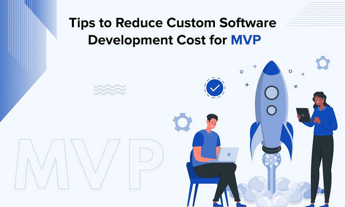 Tips to Reduce Custom Software Development Cost for MVP
