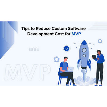 Tips to Reduce Custom Software Development Cost for MVP featured